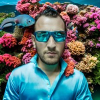 Mike Flux