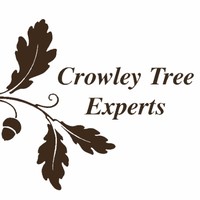 Kelly Crowley