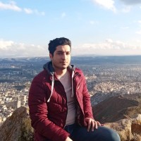 naser vahidi