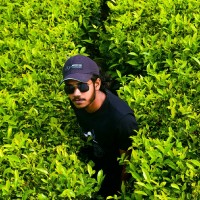 Anand K E