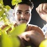 Aman Gupta