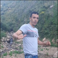 raouf amiche