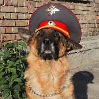 Павел Забродин