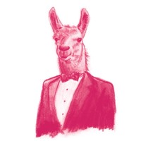Larry Llama