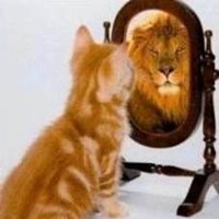 Jodi Ericson, LCMHC, LSUDC