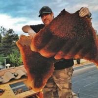 Robert CA Cell Duffin