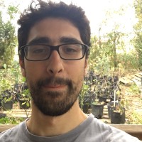 Robert Jafari