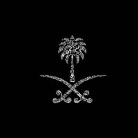 ياسمين محمد
