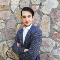 Andrea Ponsini