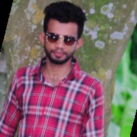 Md. Sohel Arman