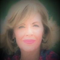 Teri Lammert
