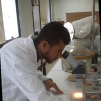 Abdelhak Koheil