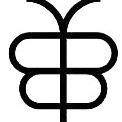 Butterfly Technology