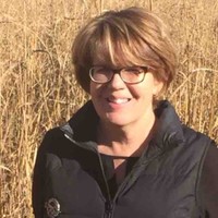 Liz Beddoe