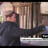 Tara Fidler