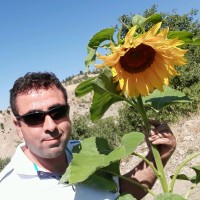 Adem Kök