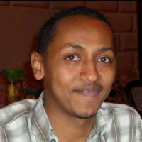Ali Hashim