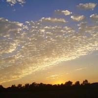 Cheryl Button