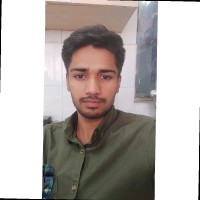 Animesh Kumar Ray
