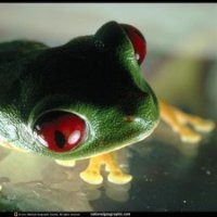 Sergio M