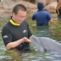 Zhongsheng Zhao