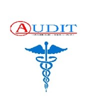 Audit Contabilidade