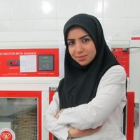Hakimeh Mojahedtalab