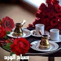 Ali Alsubari