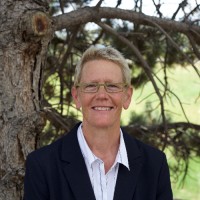 Jill McFadden