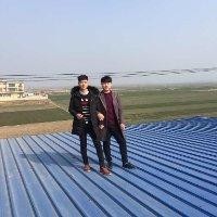 邓志伟