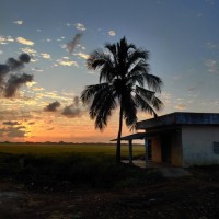 Bhanuteja Simhadri