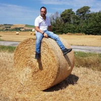 Marco Manoni
