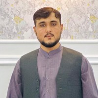 Hafeez Ullah