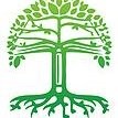 Green Oak