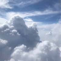 王晓侃