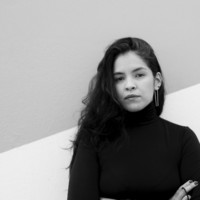 Paola Andrea Perez Nieto