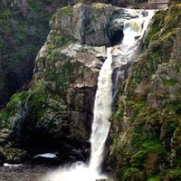 Ivanka Verge Valiente