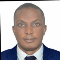 Olugbemiga Jegede
