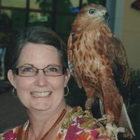 Kathy Morse