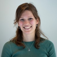 Anne de Vries