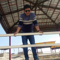 Mohammad Javad Adeli