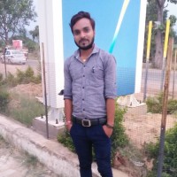 Vikash Ravidas