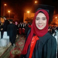 Alaa Megahed