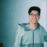 Cristian J. Vargas