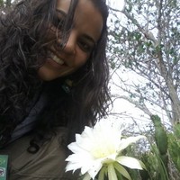 Tatiane Pereira de Souza