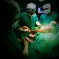 Dr Sandip Biswas