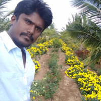 Leelakrishna(Giet) Talari