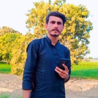 Ameer Hamza