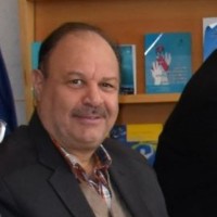 Professor Ehsan Habibi