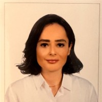 Oznur Baskan Erbilgic, Phd